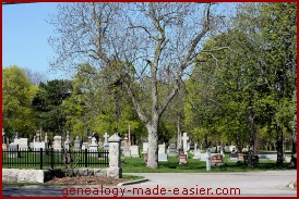 A well-tended cemetery