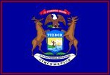 Michigan state flag