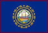 New Hampshire state flag