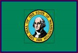 Washington state flag